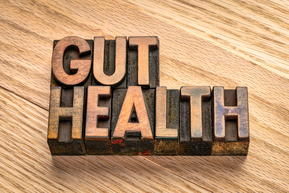 improving gut health